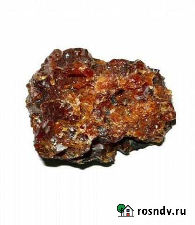 Полезные травы продукты Алтая Горно-Алтайск - изображение 1