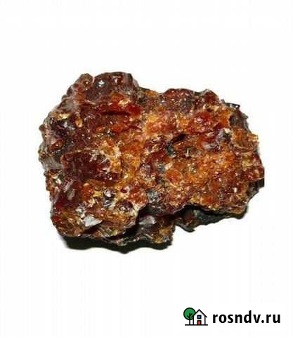 Полезные травы продукты Алтая Горно-Алтайск - изображение 1