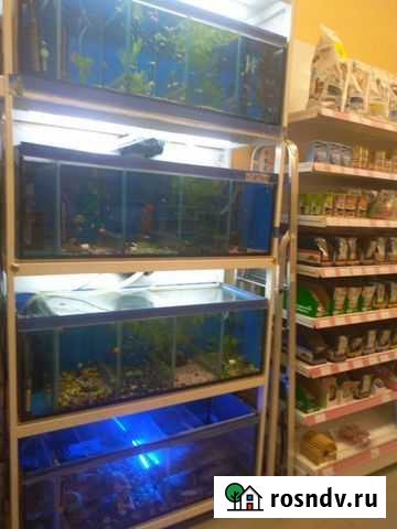 Продаю зоомагазин Серпухов - изображение 1