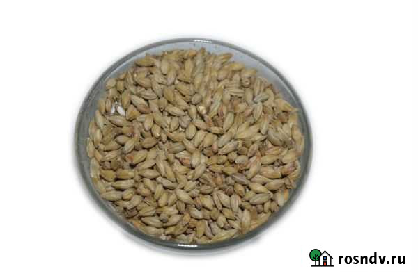 Солод Шато Виски лайт; Шато Виски (Бельгия) Челябинск - изображение 1