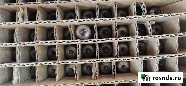 Радиолампы разные Энгельс - изображение 1