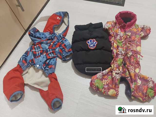 Костюм на собаку Кубинка - изображение 1