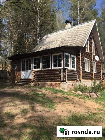 Дом 50 м² на участке 6 сот. в аренду посуточно в Демидове Демидов - изображение 1