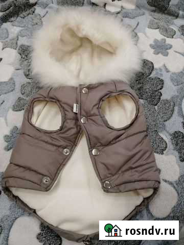 Одежда для собак мелких пород Братск - изображение 1