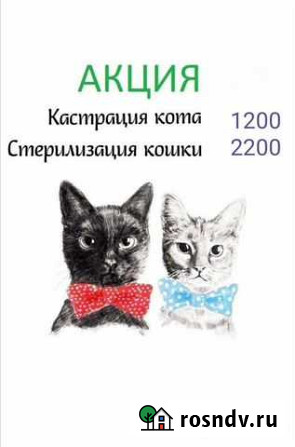 Ветеринар Мамадыш - изображение 1