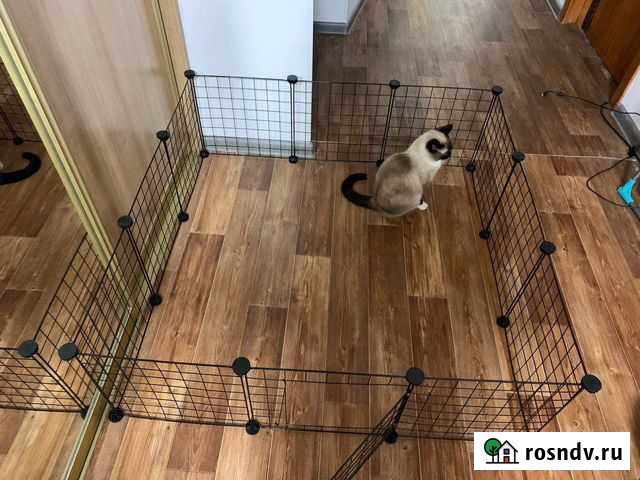 Вольер Иркутск - изображение 1