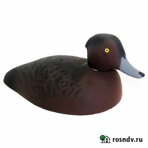 Чучело утки хохлатая чернеть - утка полистирол Новосибирск - изображение 1