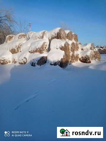 Продам сено в тюках Тюкалинск - изображение 1