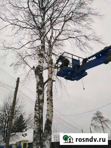 Спил деревьев Петрозаводск - изображение 1