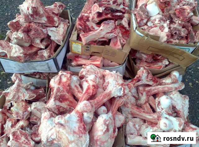 Кости Корм для собак, мясо для собак Красноярск - изображение 1