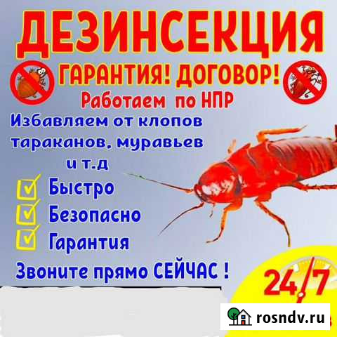 Норильск.Клопы.Тараканы.Плесень.Грызуны.Запахи.Нас Норильск - изображение 1