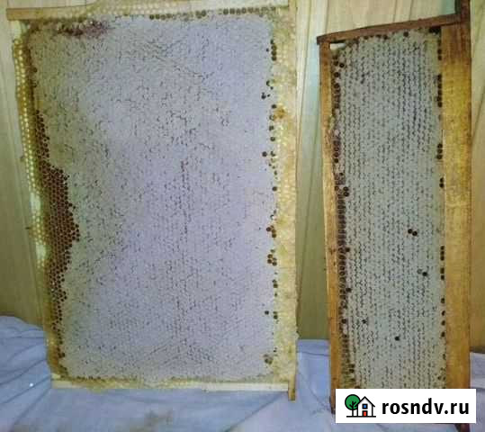 Мед липовый Аша - изображение 1