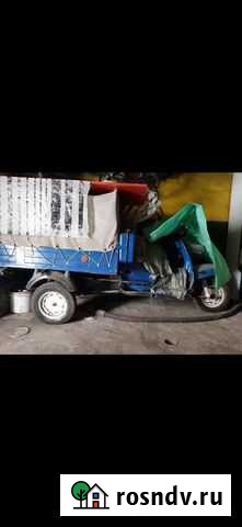 Муравей Заветы Ильича - изображение 1