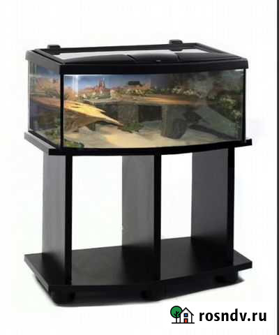 Террариумы Ярославль - изображение 1