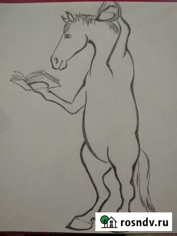 Конеперевозки спб, Ленобласть, межгород Санкт-Петербург - изображение 1