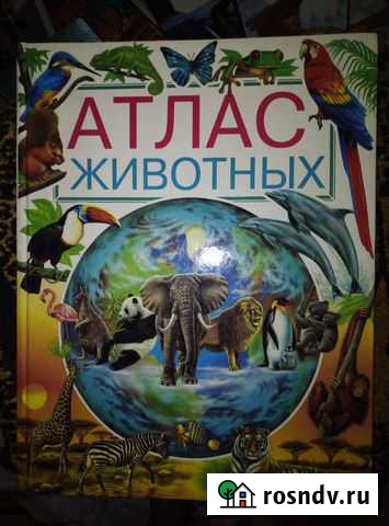 Детский Мир Энциклопедия Новый Городок - изображение 1