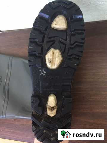 Болотники Мурманск - изображение 1