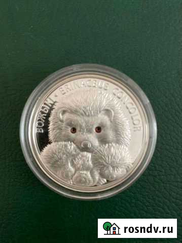 Монета беларусь Ежи 20 рублей Красноярск - изображение 1