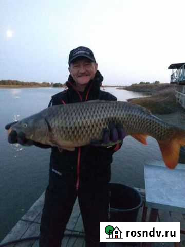 Рыбалка и отдых в дельте Волги Камызяк - изображение 1