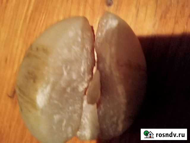 Антиквариат камен Вологда - изображение 1