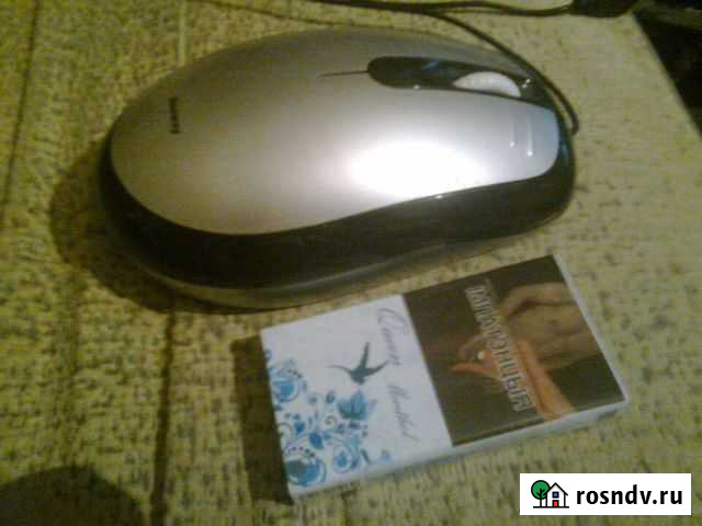 Мышь - гигант Челябинск - изображение 1