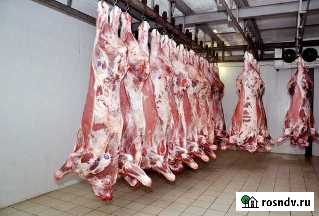 Мясо Говядина Москва - изображение 1