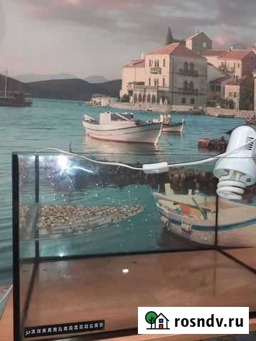 Аквариум под ключ Санкт-Петербург - изображение 1