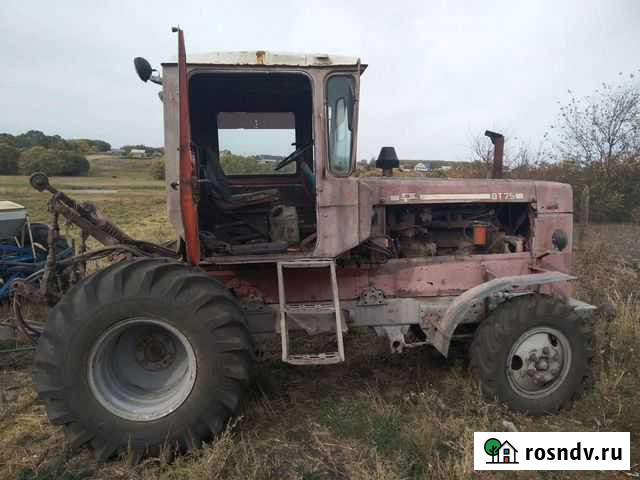 Посевной материал Тольятти - изображение 1