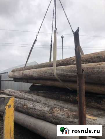 Кело Сухарник северной сосны Санкт-Петербург - изображение 1