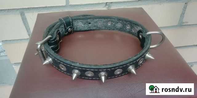 Собачий ошейник Москва - изображение 1