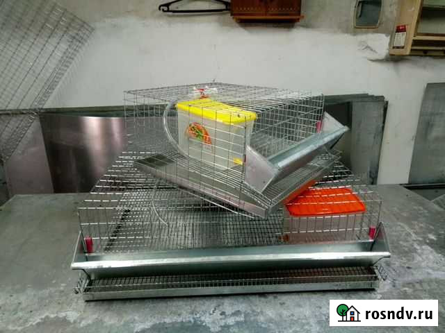 Клетки для перепелов Москва - изображение 1