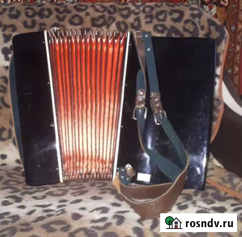 Аккордеон Железногорск - изображение 1