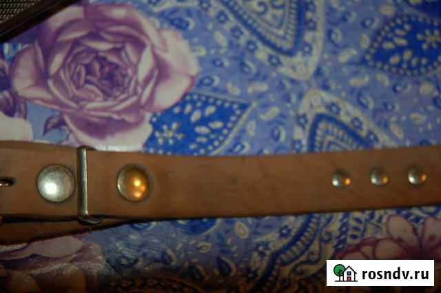 Кожаный собачий ошейник Тольятти - изображение 1