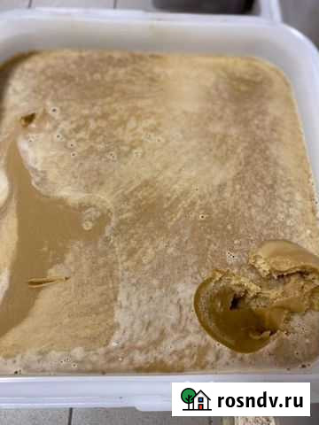 Мёд разнотравье темное с алтайской пасеки Бийск - изображение 1