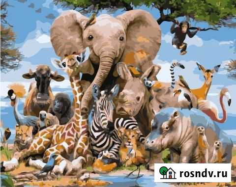 Картины по номерам 40х50 Животные, Жирафы Киров - изображение 1