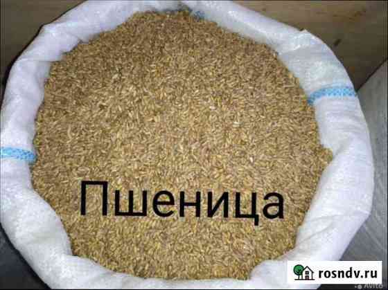 Мясокостная мука Волгодонск