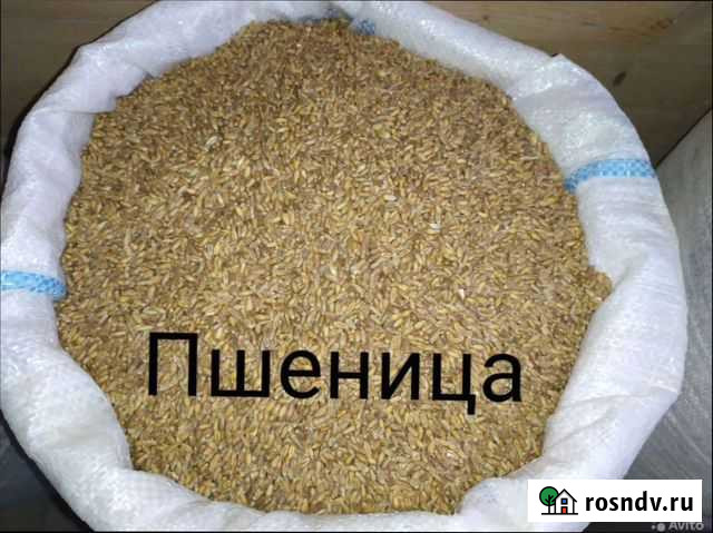 Мясокостная мука Волгодонск - изображение 1