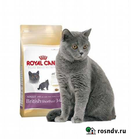 Royal Canin для британцев, персов 10, 13 кг Севастополь - изображение 1