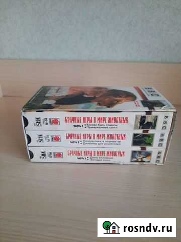 Видеокассеты. Подарочный набор Чита - изображение 1