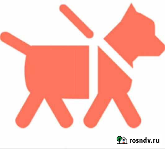 Выгул собак Чебоксары - изображение 1