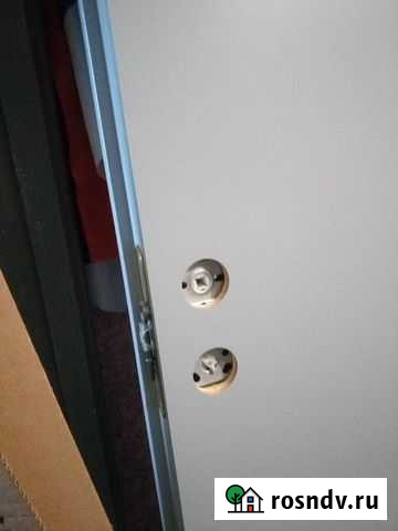 Дверное полотно с притвором Пермь - изображение 1