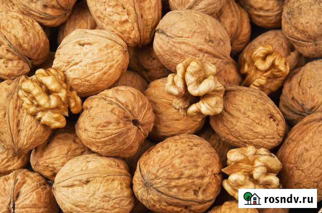 Грецкие орехи Сальск - изображение 1
