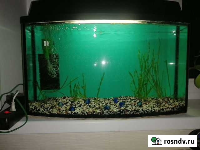 Аквариум Владимир - изображение 1