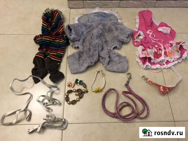 Одежда для собачки маленьких пород Москва - изображение 1