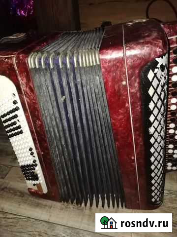 Баян Пермь - изображение 1