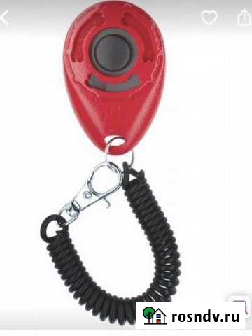 Кликер Санкт-Петербург - изображение 1