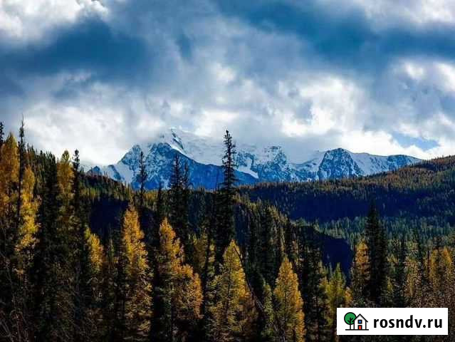 Аэросъемка Белово - изображение 1