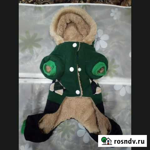 Одежда на маленькую собачку Дзержинск - изображение 1