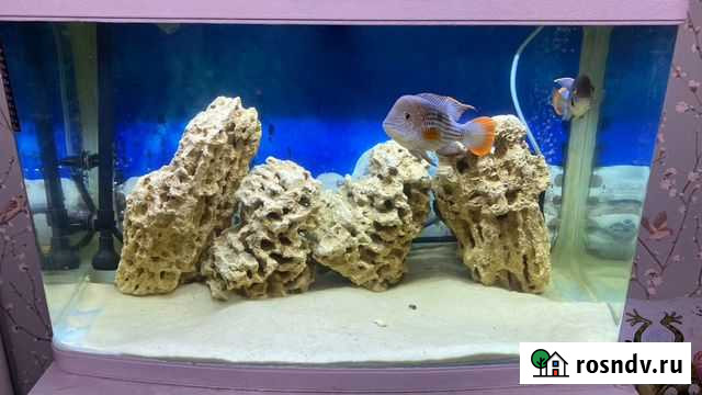 Украшение для аквариума песчаник Москва - изображение 1