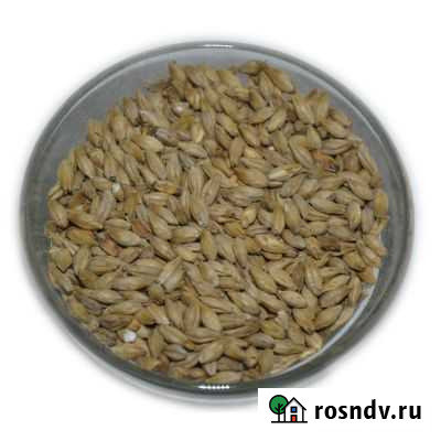 Солод Pilsner (Швеция/Финляндия) Челябинск - изображение 1